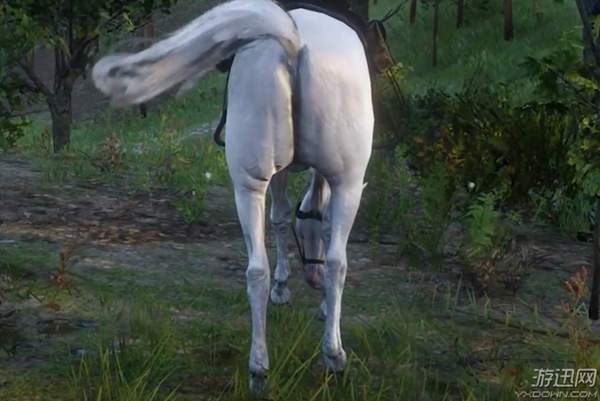 荒野大镖客各个存活成员位置,荒野大镖客最全面事件触发