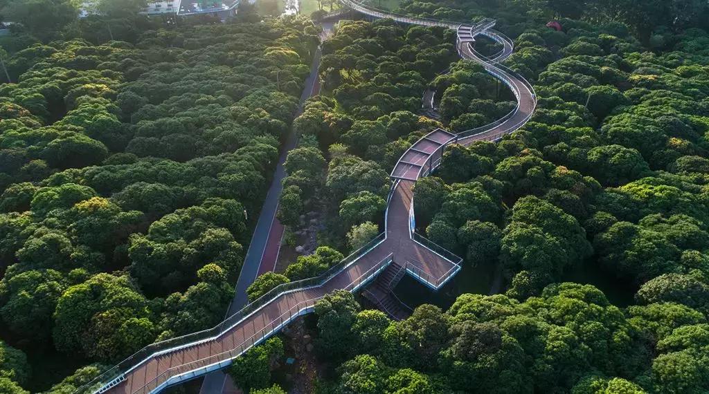 向世界推介深圳,深圳向世界发出邀请