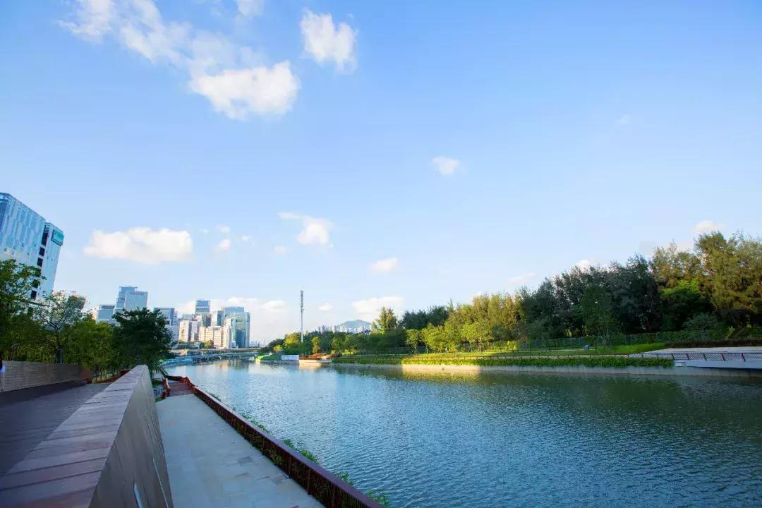 向世界推介深圳,深圳向世界发出邀请