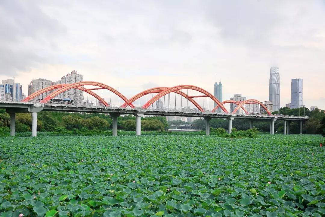 向世界推介深圳,深圳向世界发出邀请