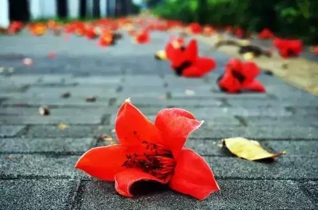 向世界推介深圳,深圳向世界发出邀请