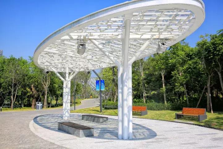 向世界推介深圳,深圳向世界发出邀请