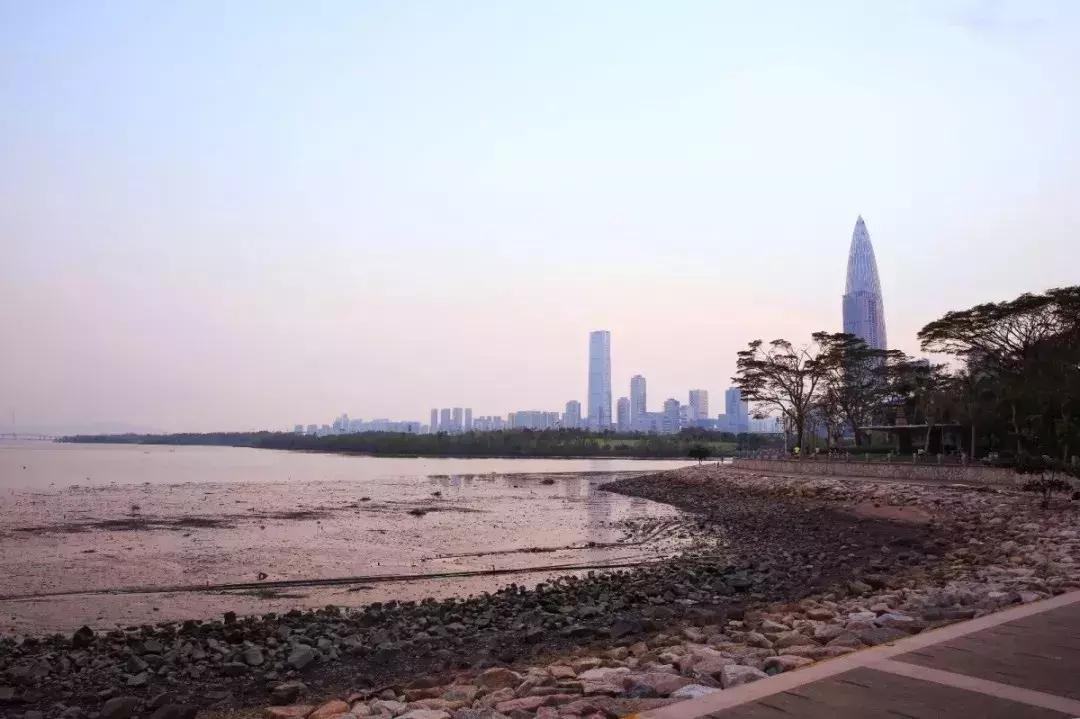 向世界推介深圳,深圳向世界发出邀请