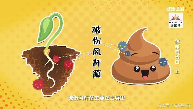 破伤风科普小知识,破伤风伤口最初症状