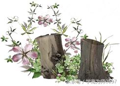 古诗词常见的意象讲解,古诗49个典故和意象的解释