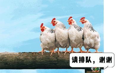 键盘字母顺序为什么是这么安排,键盘字母的顺序表