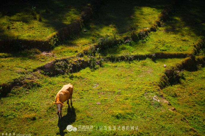 云南腾冲热海温泉,云南腾冲火山热海视频