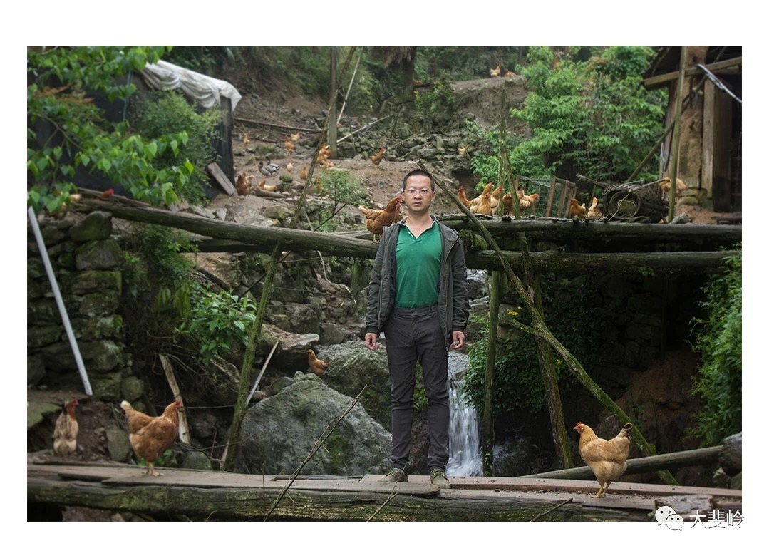 农村土鸡养殖现状及前景如何呢,农村土鸡养多久才好吃