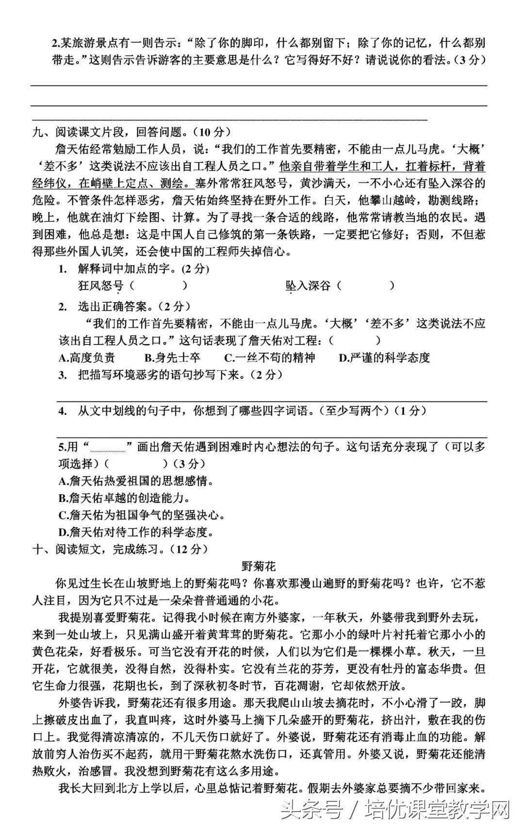 六年级数学上册期中检测卷带答案,2022年六年级数学期中测试卷答案
