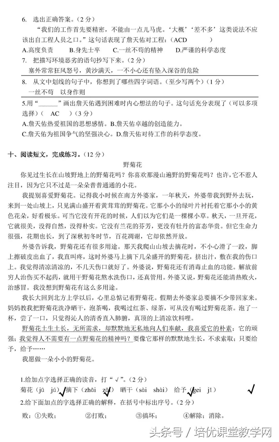 六年级数学上册期中检测卷带答案,2022年六年级数学期中测试卷答案