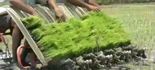 民间牛人机械的各种发明视频,农民自己发明的各种机械