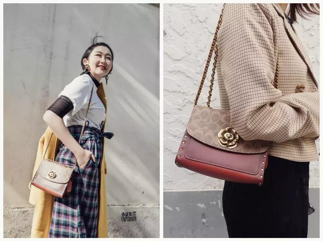 饼家推荐,饼家双黄月饼