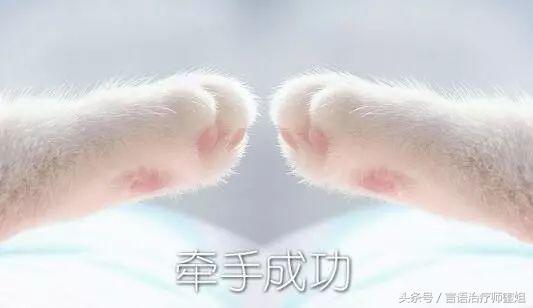 ST入门|广东东莞妇幼ST蔡娟娥:《言语治疗师入门手册》读后感