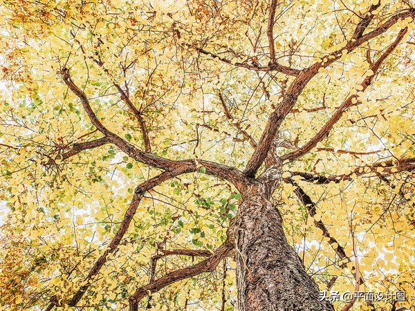 经典延续RicohGR海外长期使用心得