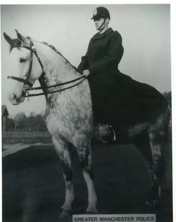 burberrylondonengland风衣,burberryblacklabel风衣