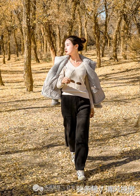 千年的等待纯音乐,金塔胡杨林美照