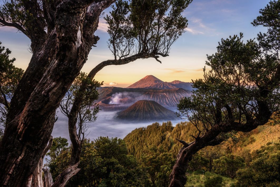 中国护照去哪里免签或者落地签,中国护照免签落地签要给钱吗