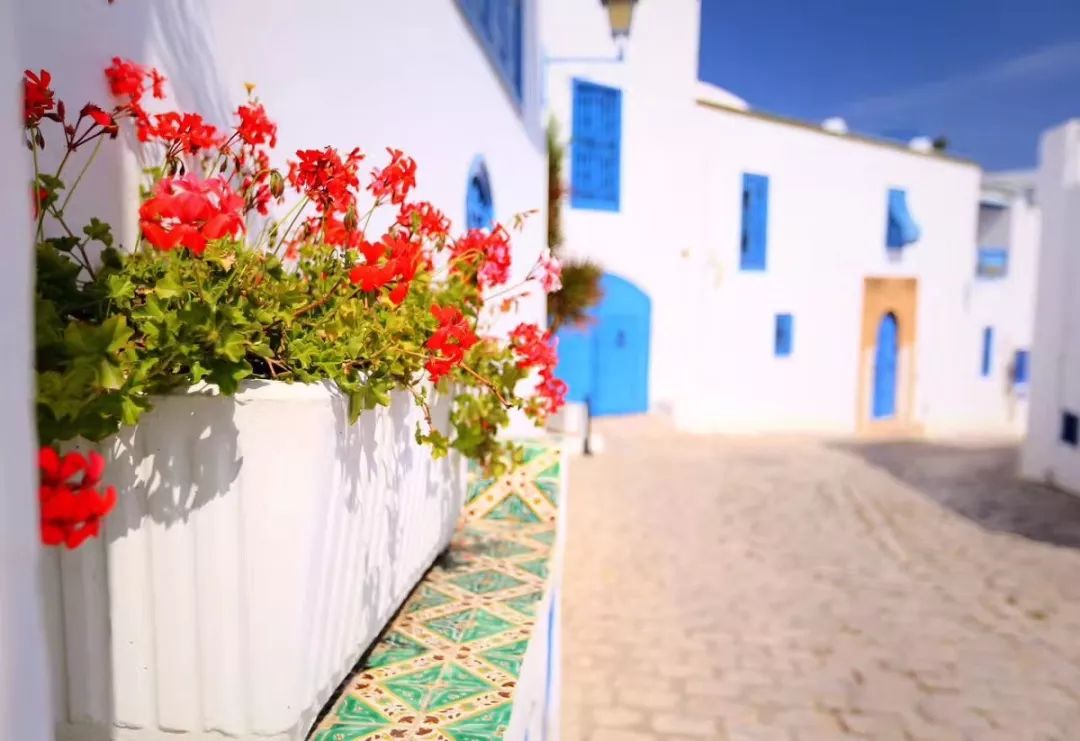 中国护照去哪里免签或者落地签,中国护照免签落地签要给钱吗