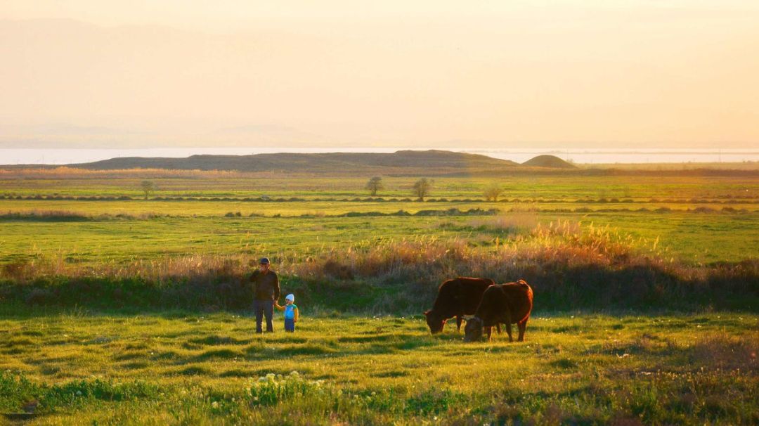 中国护照去哪里免签或者落地签,中国护照免签落地签要给钱吗