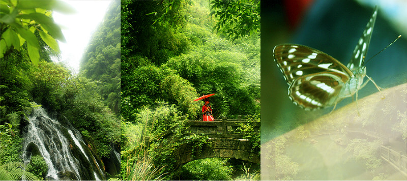 女性摩旅生活视频,我的摩旅生活视频