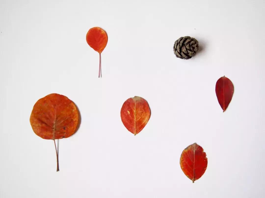 西山森林公园秋季爬山攻略,秋天西山国家森林公园