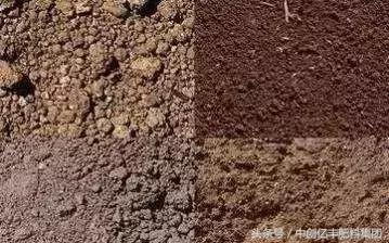 水果不甜有什么办法补救,水果怎么比较不甜