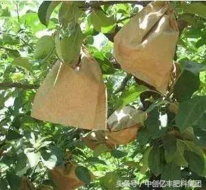 水果不甜有什么办法补救,水果怎么比较不甜