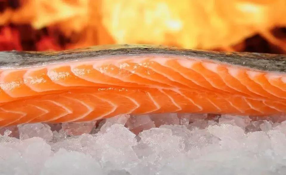 鱼身上的三个不能吃,鱼身上有哪个部位不能吃