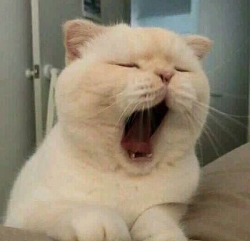 平价补水面膜性价比高的推荐哪款,什么面膜提拉紧致效果好平价的