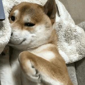 平价补水面膜性价比高的推荐哪款,什么面膜提拉紧致效果好平价的