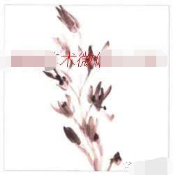 兰花国画写意画法初学者教程,国画教程写意兰花示范讲解