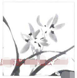 兰花国画写意画法初学者教程,国画教程写意兰花示范讲解