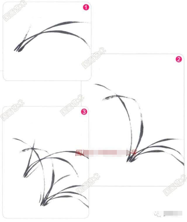 兰花国画写意画法初学者教程,国画教程写意兰花示范讲解