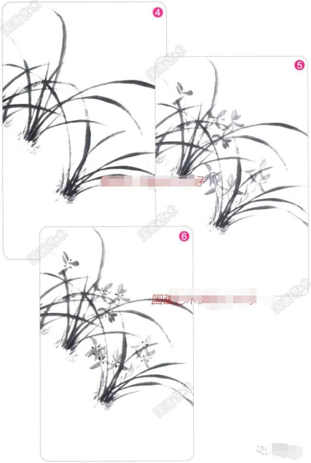 兰花国画写意画法初学者教程,国画教程写意兰花示范讲解