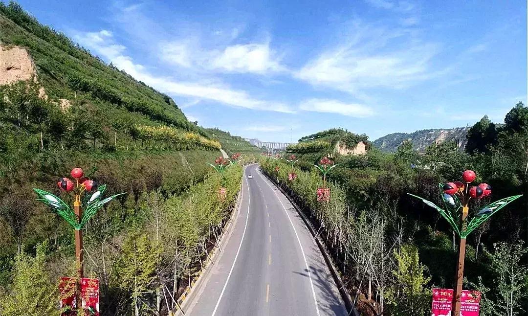 这个季节韩城的花椒是最美的风景,韩城冬季好玩的免费景点