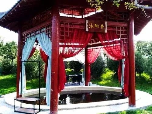 这个季节韩城的花椒是最美的风景,韩城冬季好玩的免费景点