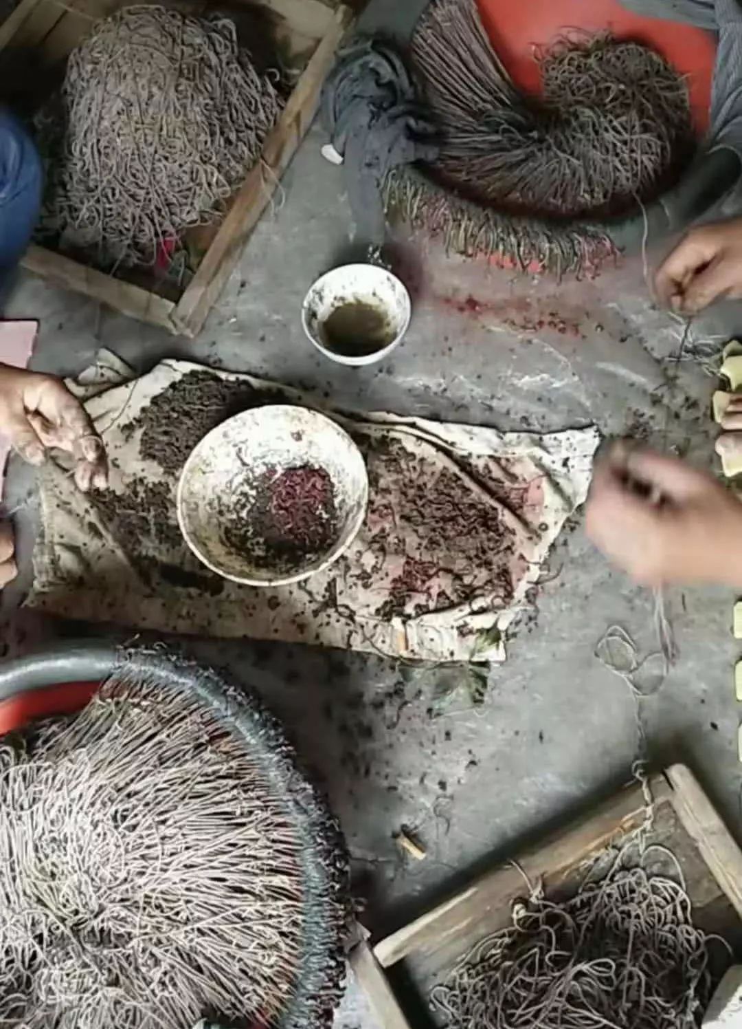 诱捕甲鱼的制作方法,7种诱捕甲鱼的绝技和捕捉秘诀