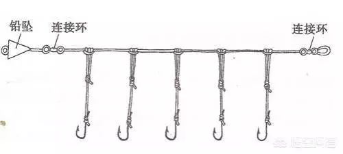 诱捕甲鱼的制作方法,7种诱捕甲鱼的绝技和捕捉秘诀