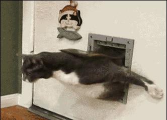 为什么键盘上的字母不是顺序来的,键盘上的字母为什么不按abcd排列