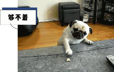 为什么键盘上的字母不是顺序来的,键盘上的字母为什么不按abcd排列