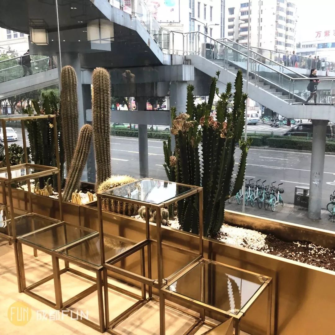 实测成都5家买手店,只想进去拍照不想买衣服……