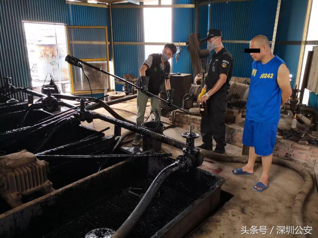 活络神、海狗王、保胃丹、双飞人……警方查获大量“回流假港药”