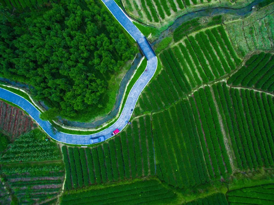 致世界文化名城成都,来自星巴克的邀请