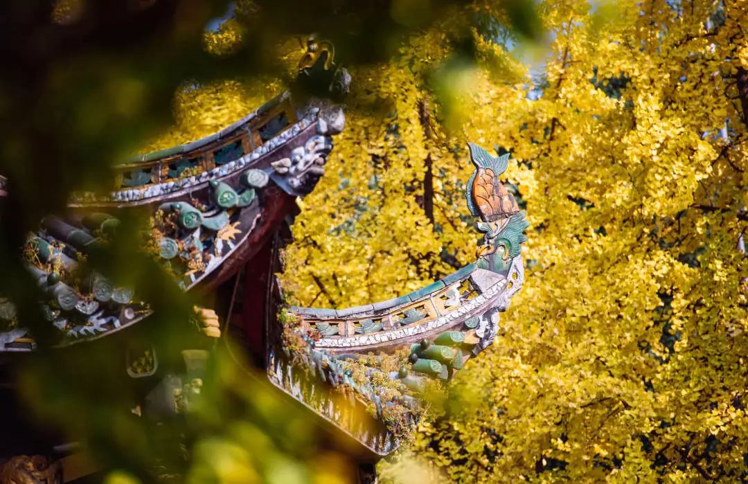 致世界文化名城成都,来自星巴克的邀请