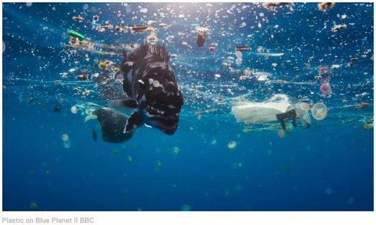 麦当劳中国将停用塑料吸管,星巴克麦当劳吸管