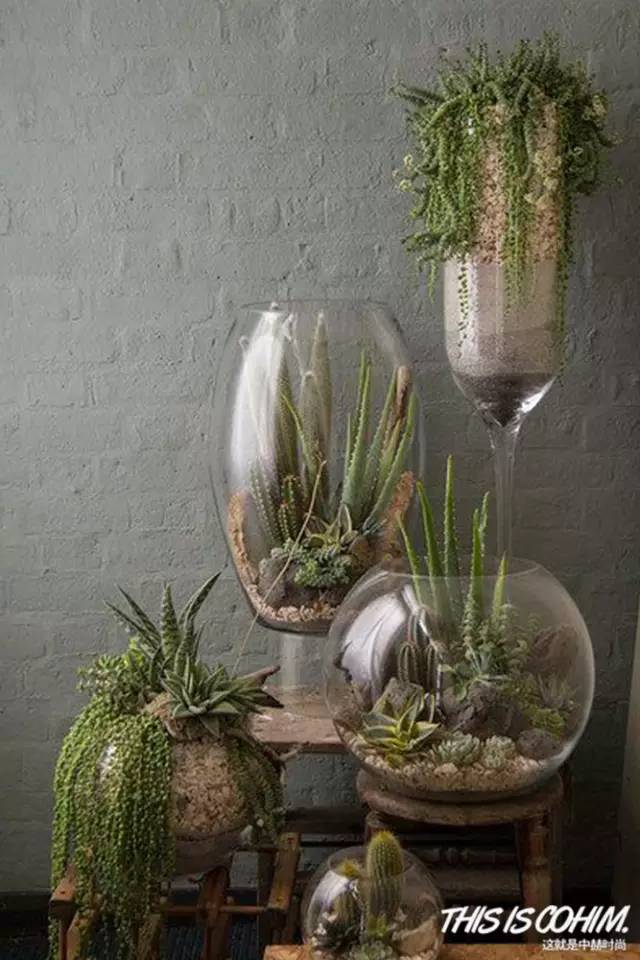 花店应该怎么经营,花店怎样经营才赚钱多一点