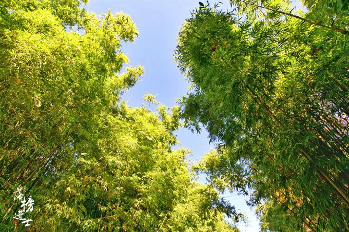 大理洱海海舌半岛需要门票吗,洱海最美半岛是尼格半岛吗