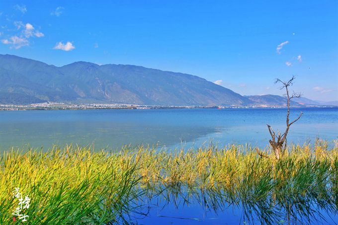 大理洱海海舌半岛需要门票吗,洱海最美半岛是尼格半岛吗