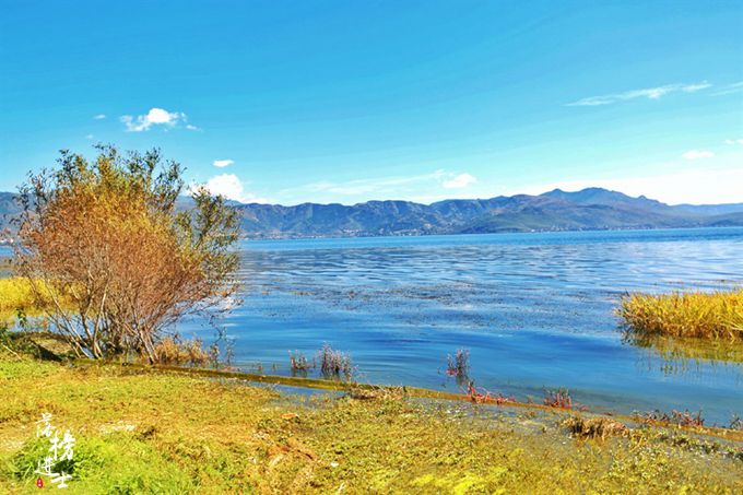 大理洱海海舌半岛需要门票吗,洱海最美半岛是尼格半岛吗