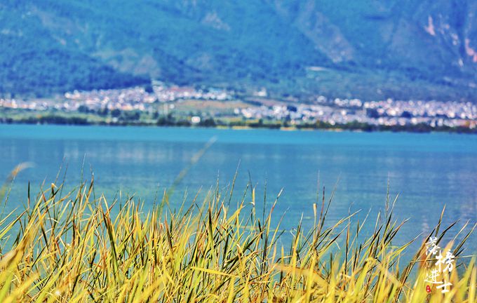大理洱海海舌半岛需要门票吗,洱海最美半岛是尼格半岛吗